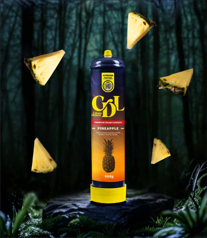 pineapple regular bottle 1 cover.jpg